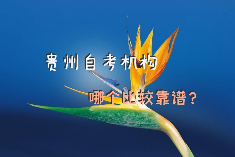 贵州自考机构哪个比较靠谱？