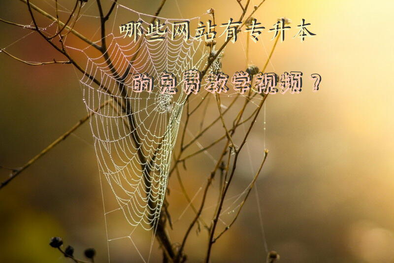 哪些网站有专升本的免费教学视频？