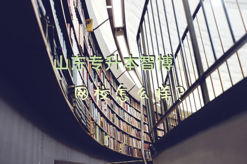 山东专升本智博网校怎么样？
