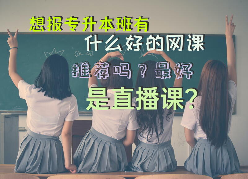 想报专升本班，有什么好的网课推荐吗？最好是直播课？