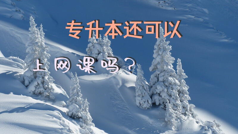 专升本还可以上网课吗？