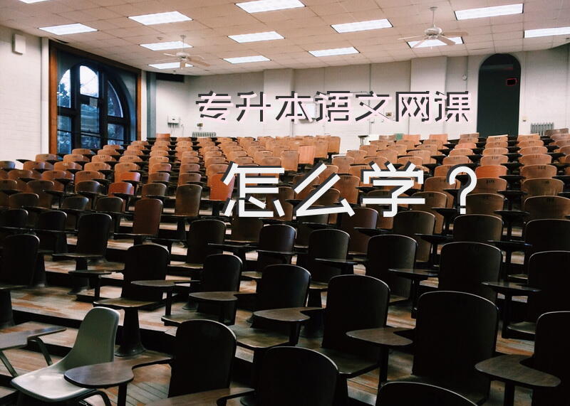 专升本语文网课怎么学？