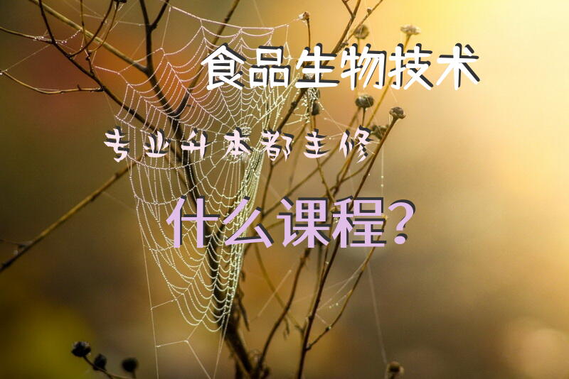 食品生物技术专业升本都主修什么课程？
