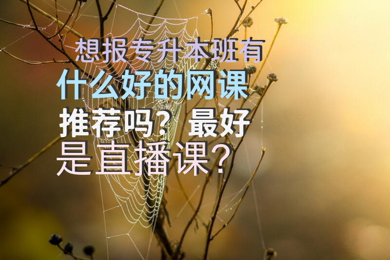 想报专升本班，有什么好的网课推荐吗？最好是直播课？