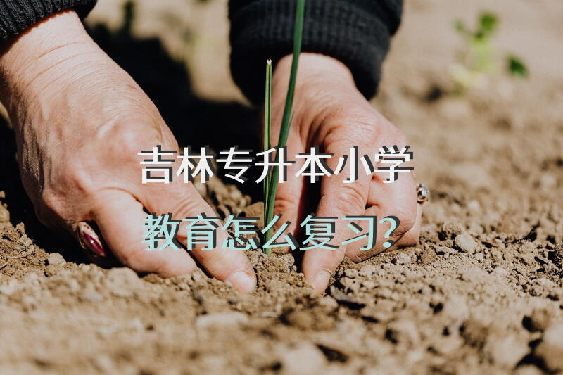 吉林专升本小学教育怎么复习？