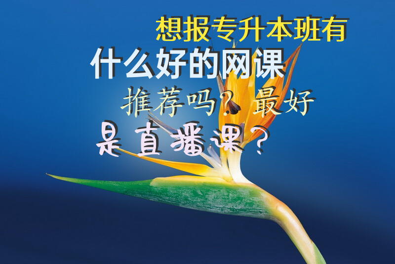 想报专升本班，有什么好的网课推荐吗？最好是直播课？
