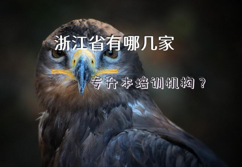 浙江省有哪几家专升本培训机构？
