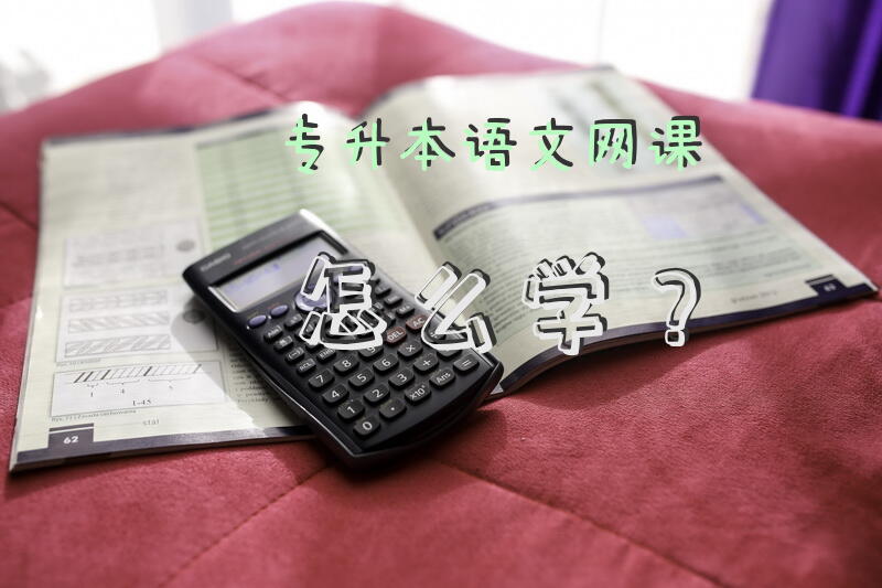 专升本语文网课怎么学？