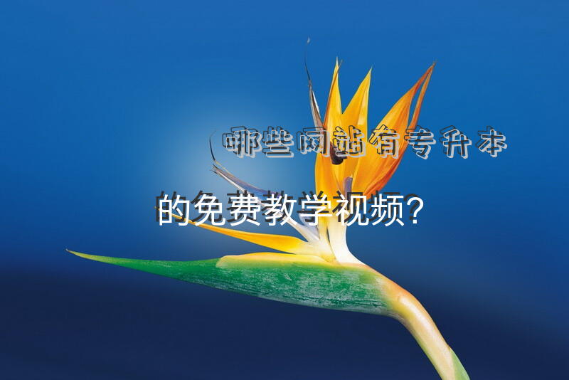 哪些网站有专升本的免费教学视频？
