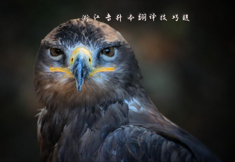 浙江专升本翻译技巧题