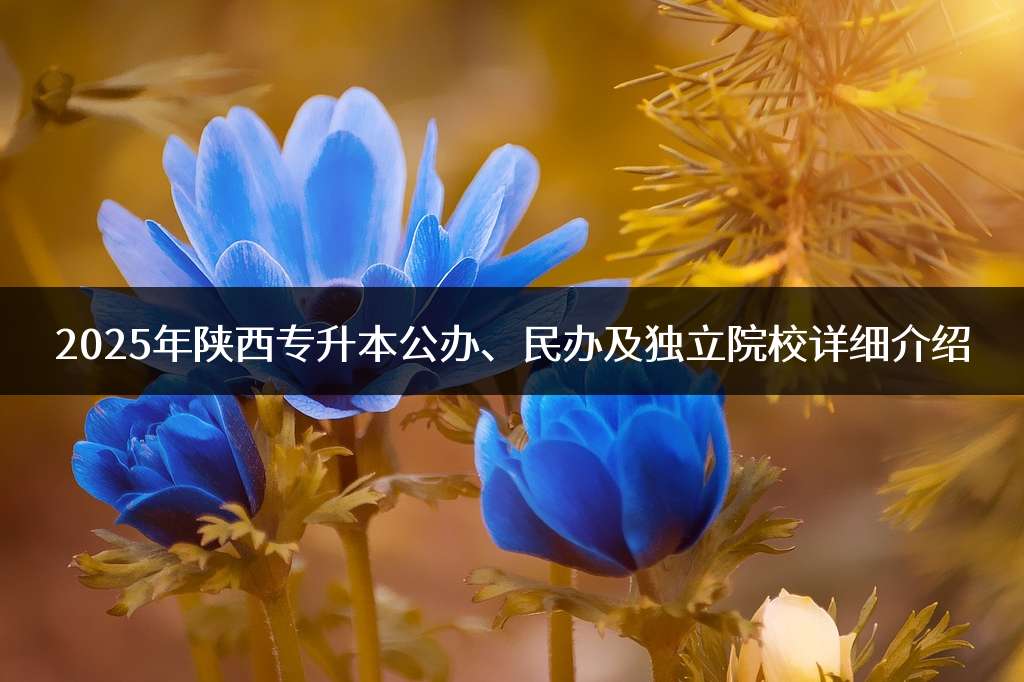 2025年陕西专升本公办、民办及独立院校详细介绍
