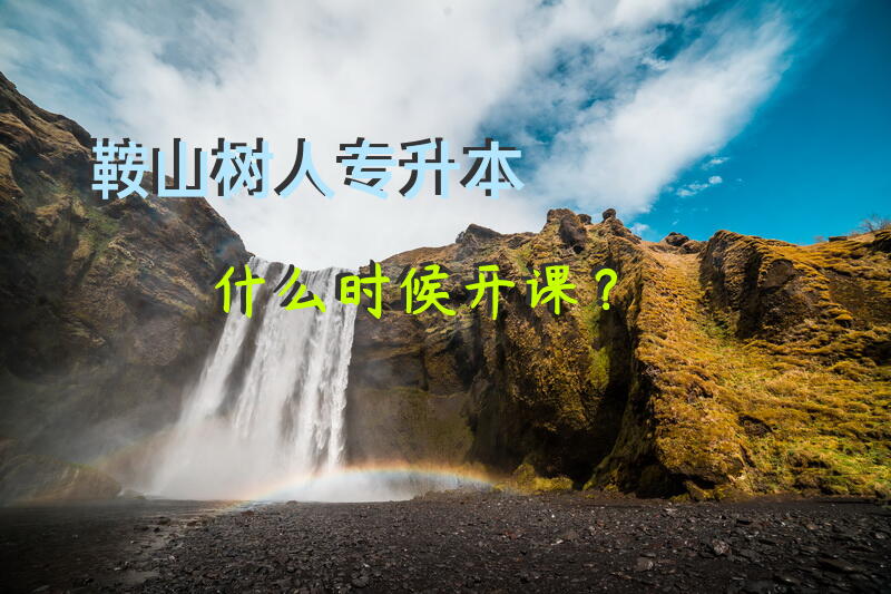 鞍山树人专升本什么时候开课？