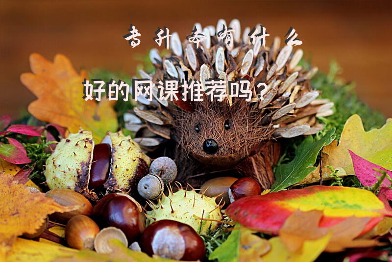 专升本有什么好的网课推荐吗？