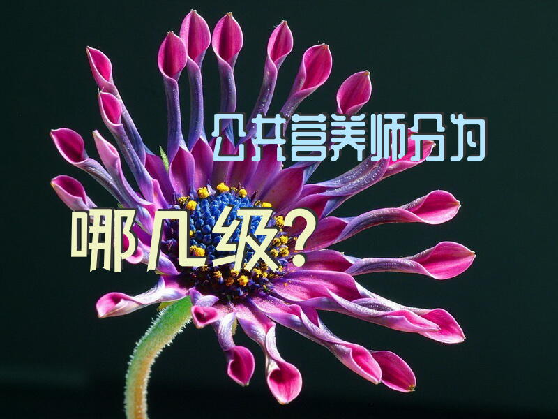 公共营养师分为哪几级？