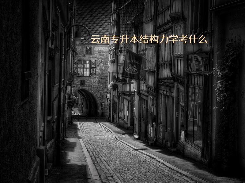云南专升本结构力学考什么