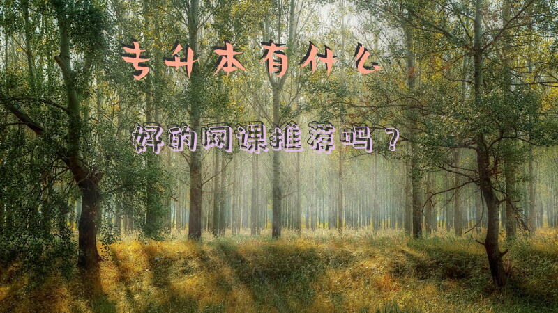 专升本有什么好的网课推荐吗？