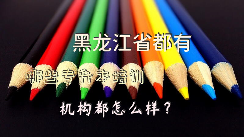 黑龙江省都有哪些专升本培训机构，都怎么样？