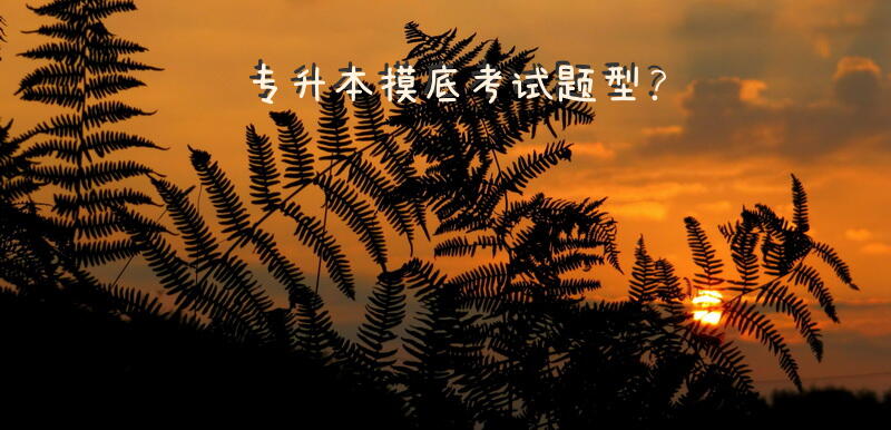 专升本摸底考试题型？