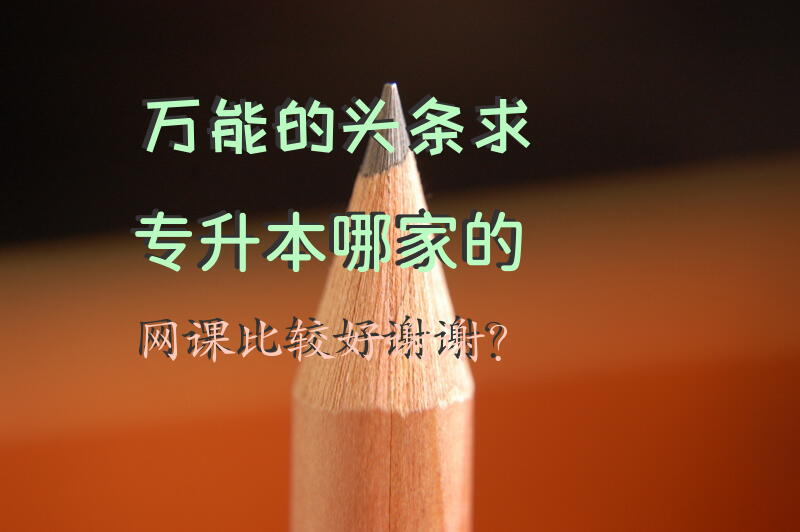 万能的头条，求专升本哪家的网课比较好，谢谢？
