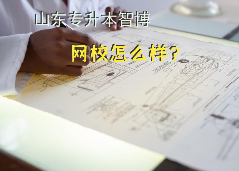 山东专升本智博网校怎么样？