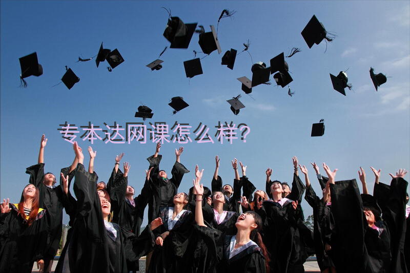 专本达网课怎么样？