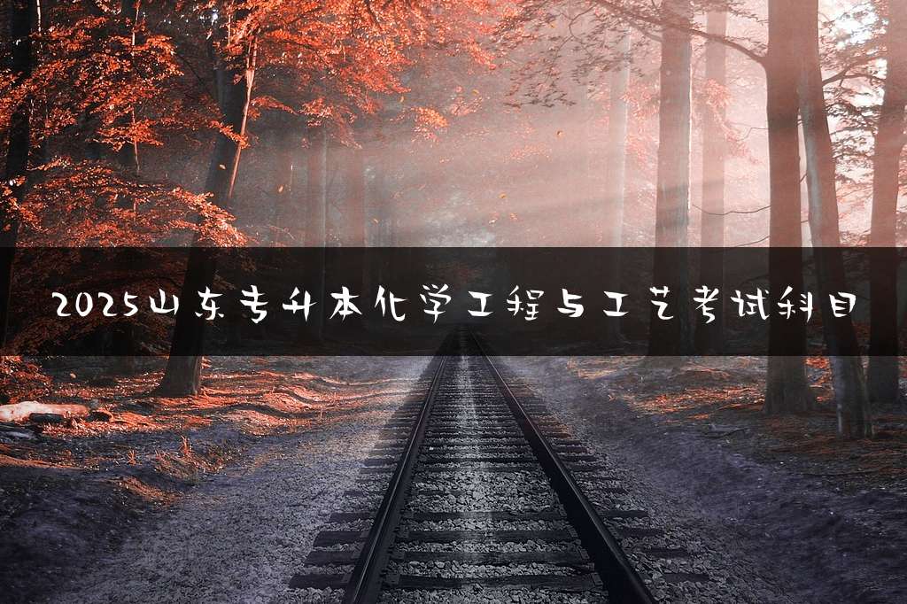 2025山东专升本化学工程与工艺考试科目