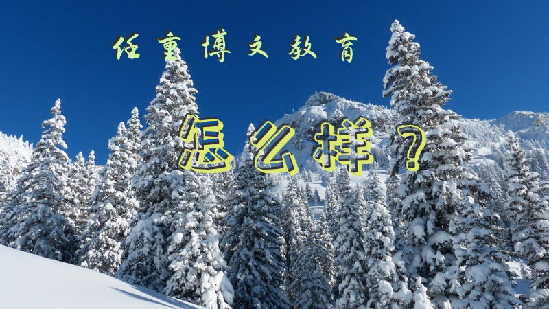 任重博文教育怎么样？