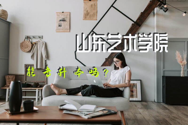 :山东艺术学院能专升本吗？