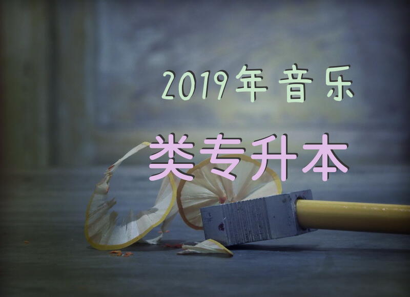 2019年音乐类专升本