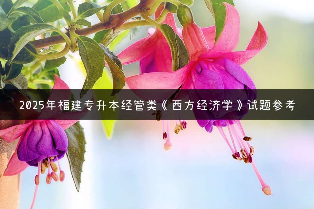 2025年福建专升本经管类《西方经济学》试题参考