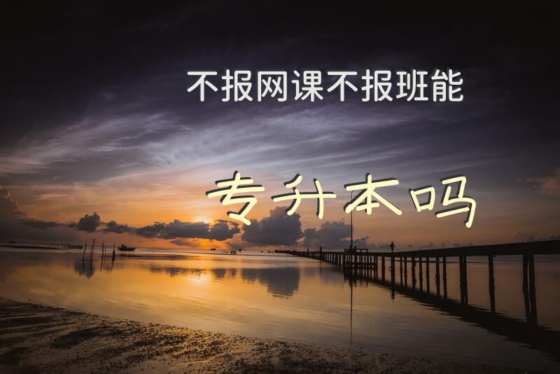不报网课不报班能专升本吗