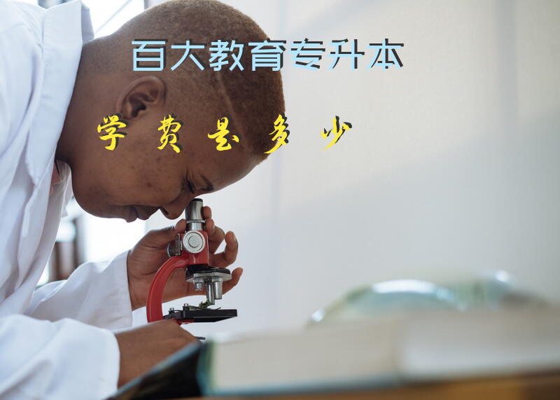 百大教育专升本学费是多少
