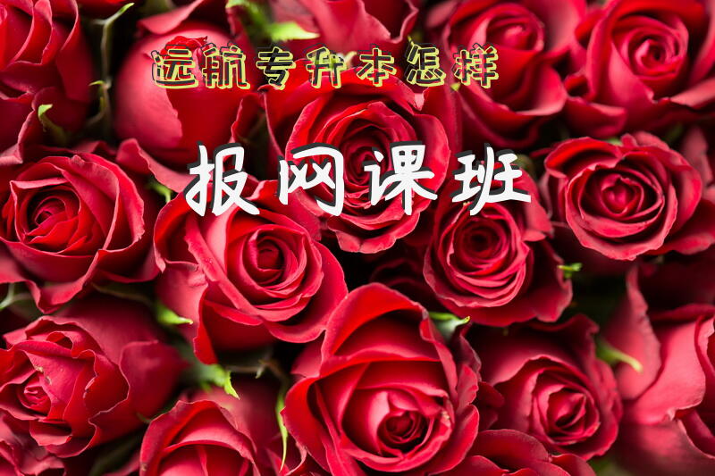 远航专升本怎样报网课班