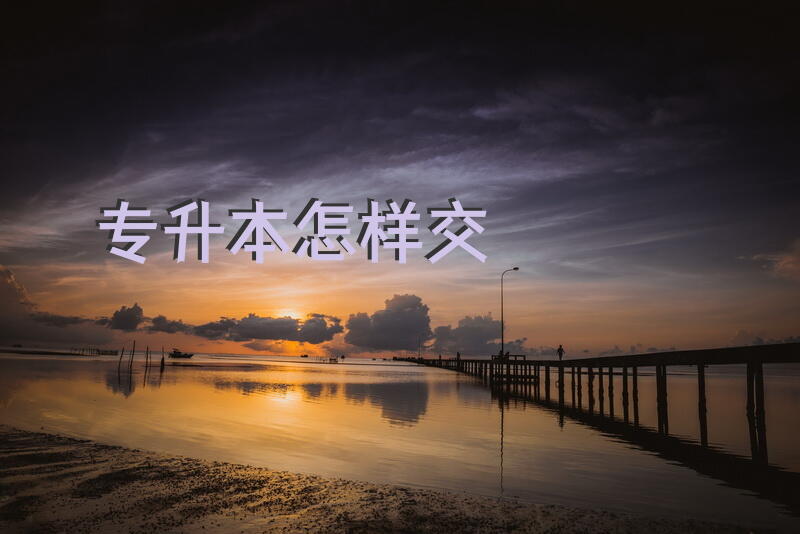 专升本怎样交