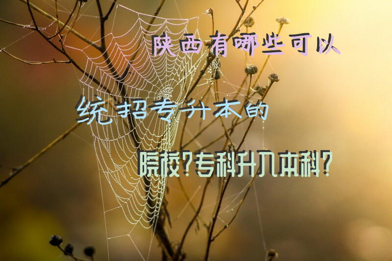 陕西有哪些可以统招专升本的院校？专科升入本科？