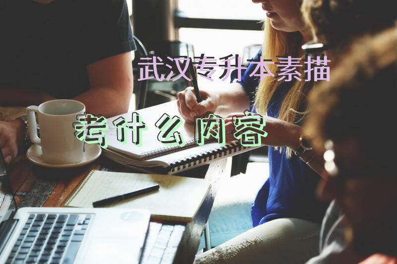 武汉专升本素描考什么内容