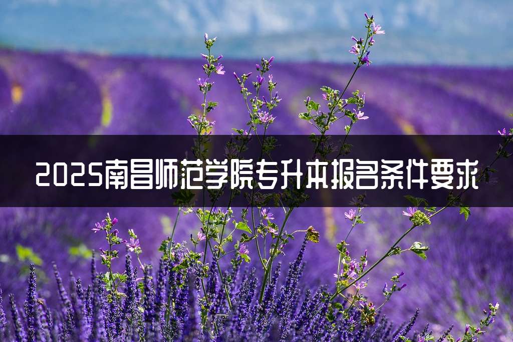 2025南昌师范学院专升本报名条件要求