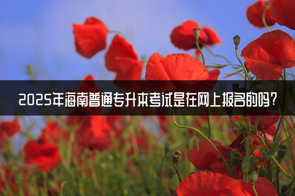 2025年海南普通专升本考试是在网上报名的吗?