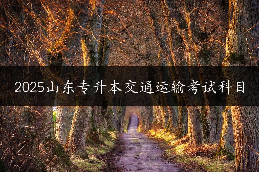 2025山东专升本交通运输考试科目