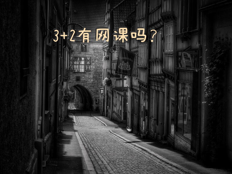 3+2有网课吗？