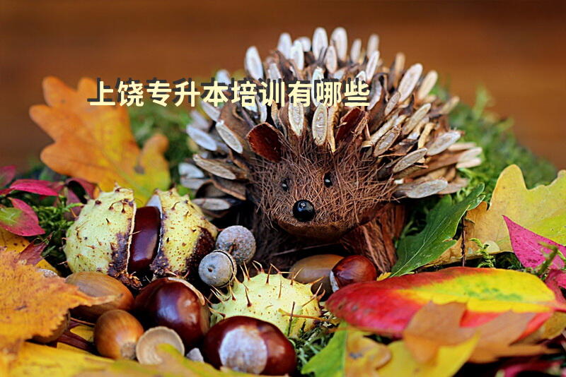 上饶专升本培训有哪些