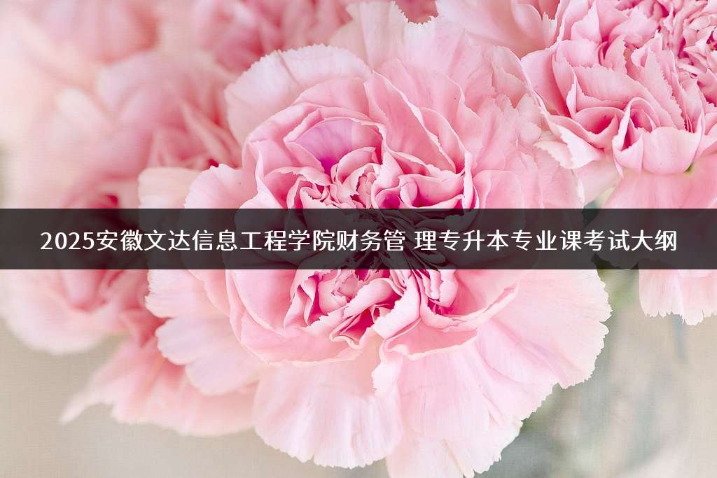 2025安徽文达信息工程学院财务管理专升本专业课考试大纲