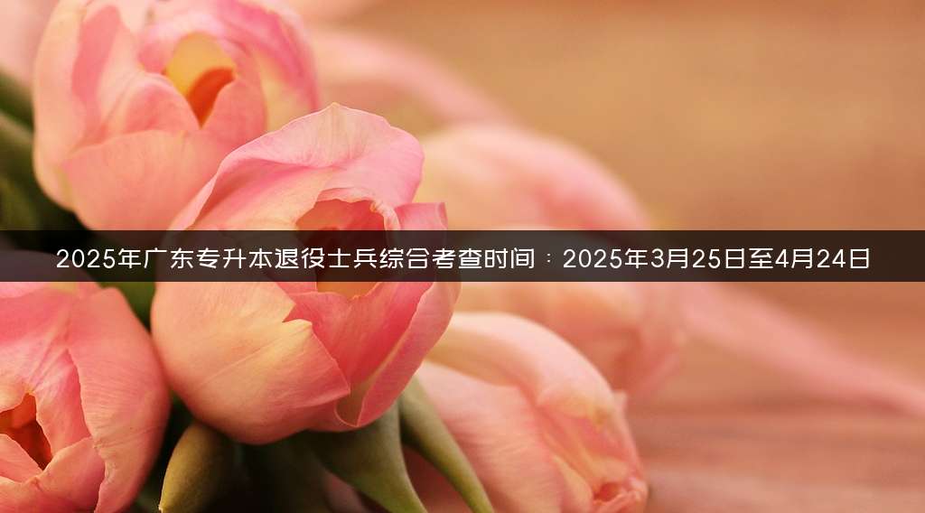 2025年广东专升本退役士兵综合考查时间：2025年3月25日至4月24日