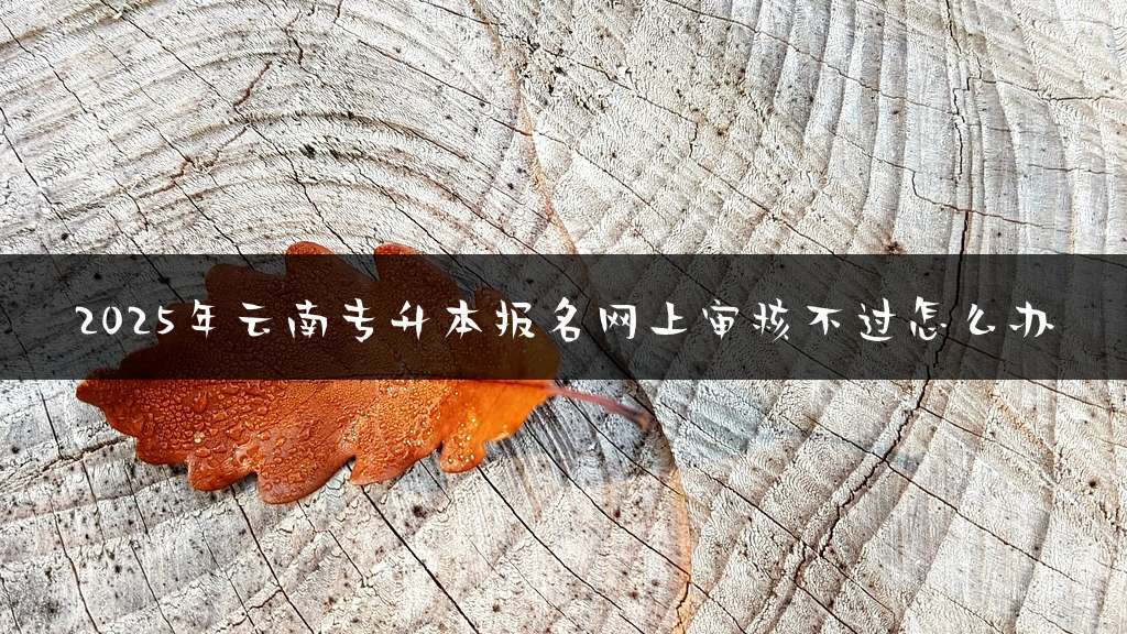 2025年云南专升本报名网上审核不过怎么办