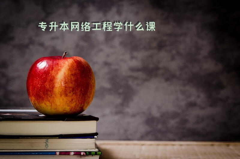 专升本网络工程学什么课