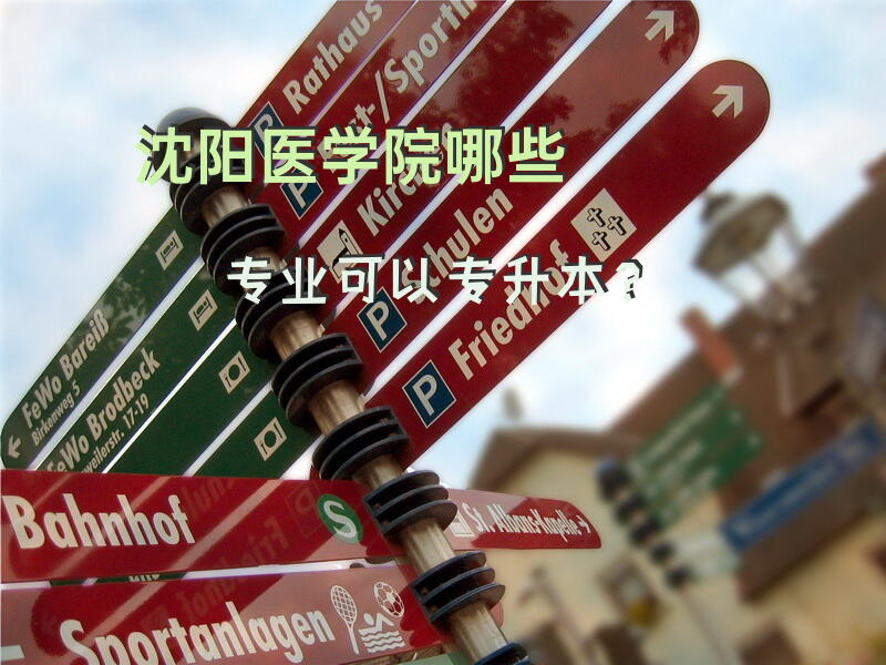 沈阳医学院哪些专业可以专升本？