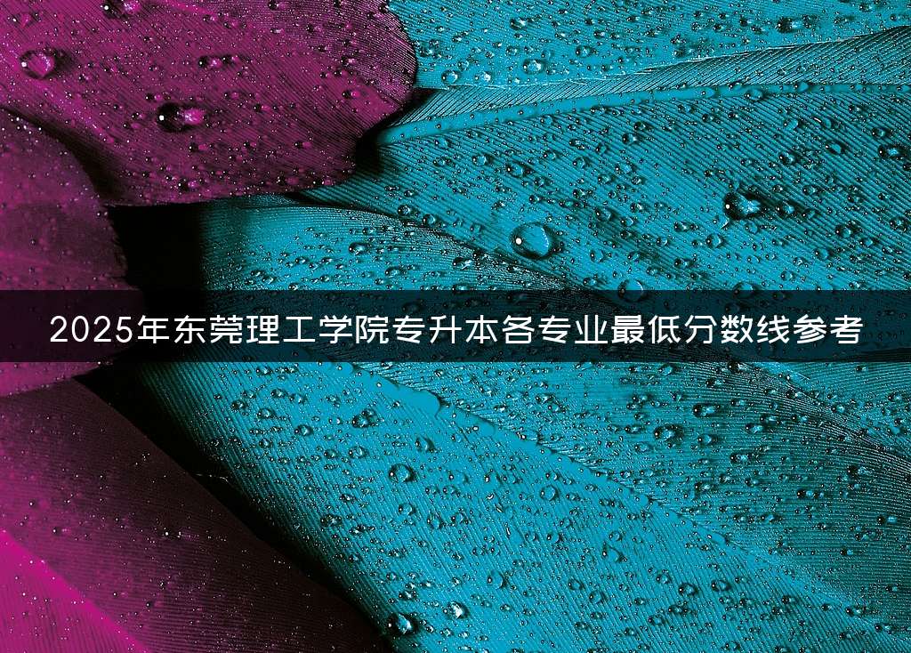 2025年东莞理工学院专升本各专业最低分数线参考