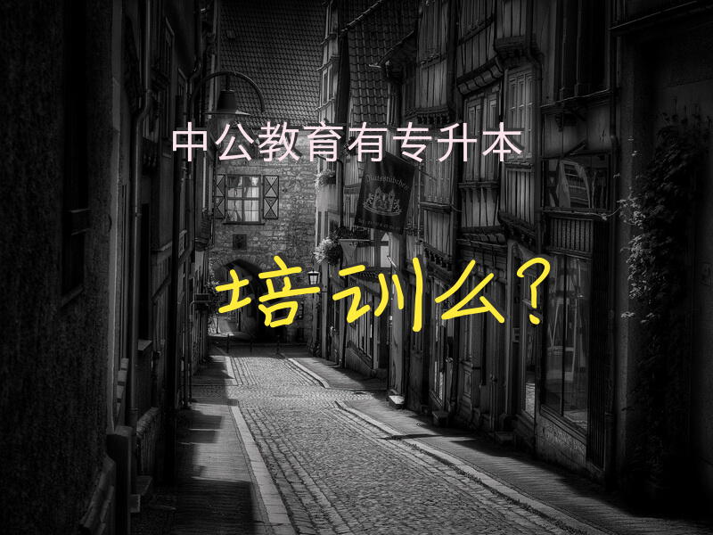 中公教育有专升本培训么？