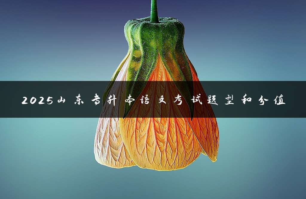 2025山东专升本语文考试题型和分值