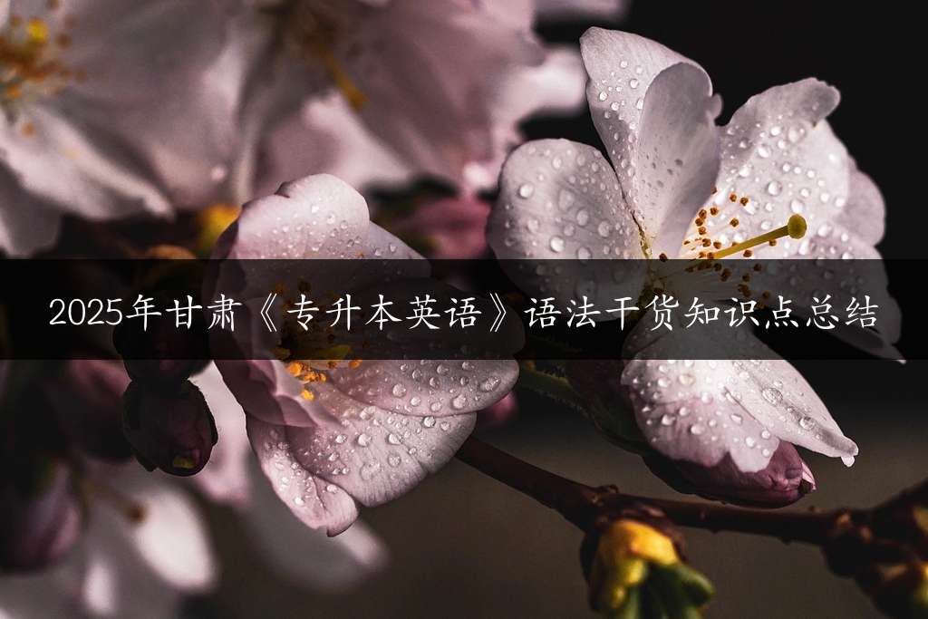 2025年甘肃《专升本英语》语法干货知识点总结